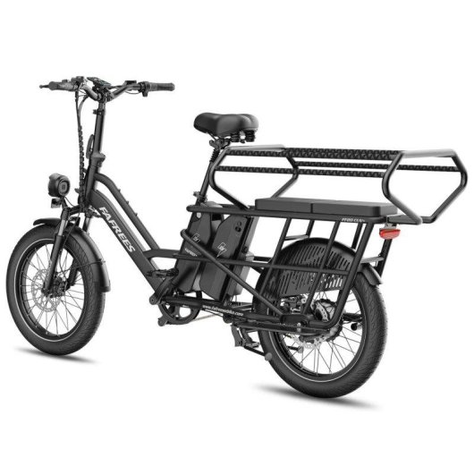 Bicicletta Elettrica Fafrees FF20 CUV Sedile Doppio Bambini 24Ah 250W