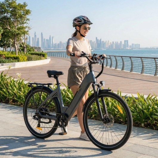 Kaisda K608 E-Bike 350W 36V20Ah Grau 28 Zoll