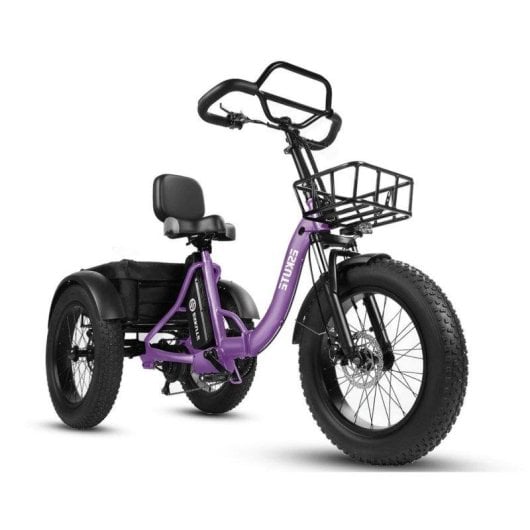 Elektrofahrrad Eskute T302 Pro 250W 48V 20,8Ah klappbar lila
