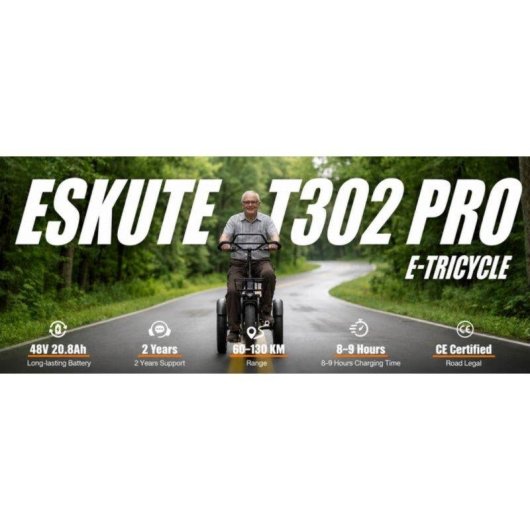 Elektrofahrrad Eskute T302 Pro 250W 48V 20,8Ah klappbar lila