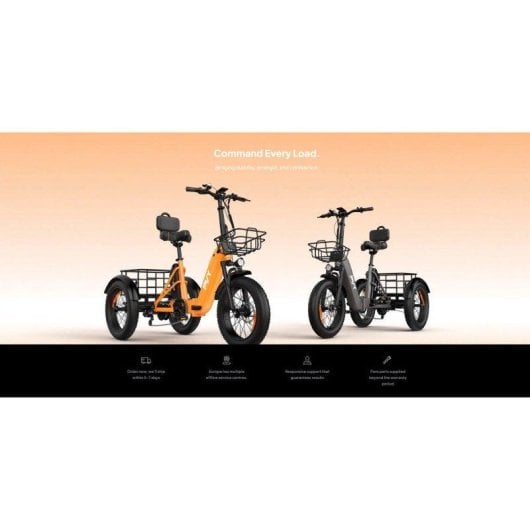 Triciclo PVY F20 48V21Ah 80km Arancione