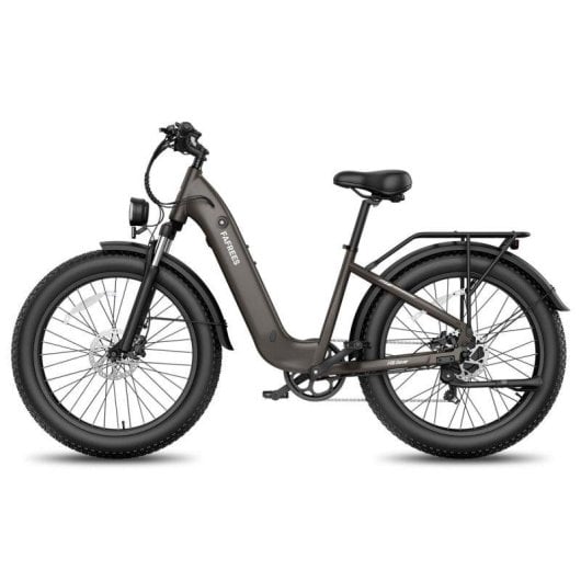 Vélo électrique Fafrees F26 Rover 48V 20Ah 250W pneus larges 26x4,0
