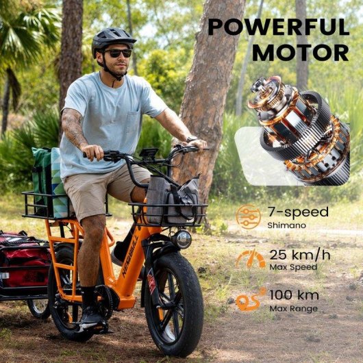 Bicicleta Electrica Kingbull Voyager 2.0 48V15Ah
