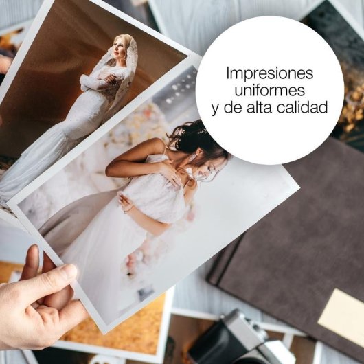 Cartucho tinta Epson Claria Premium 202 Preto