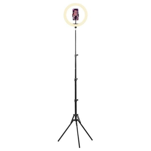Anello Luce LED RGB TnB INLEDSTUDRGB 12 pollici