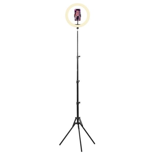 Anello Luce LED RGB TnB INLEDSTUDRGB 12 pollici
