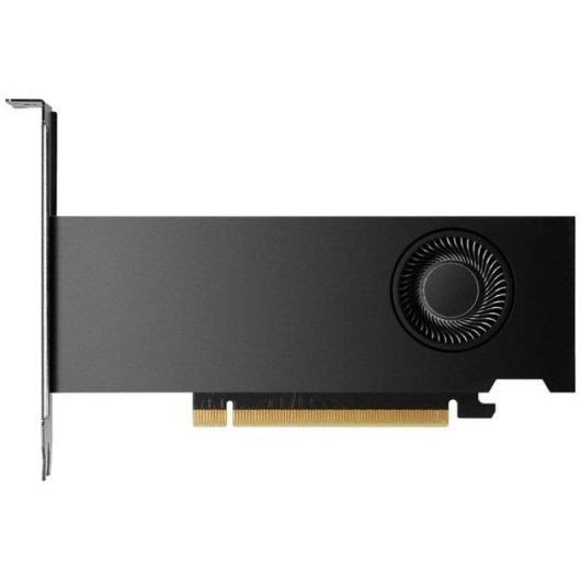 Carte Graphique NVIDIA RTX 2000 Ada 12GB GDDR6