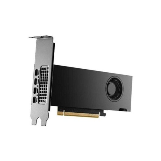 Carte Graphique NVIDIA RTX 2000 Ada 12GB GDDR6