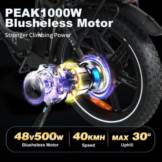 Bicicleta Eléctrica Baolujie Moto Chefe DZ-2030 500 W 48 V 16 Ah 40 km/h