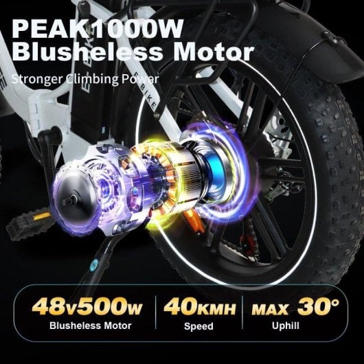 Bicicleta Eléctrica Baolujie Moto Chefe DZ-2030 500W Batería 48V 16Ah 20" 40 km/h