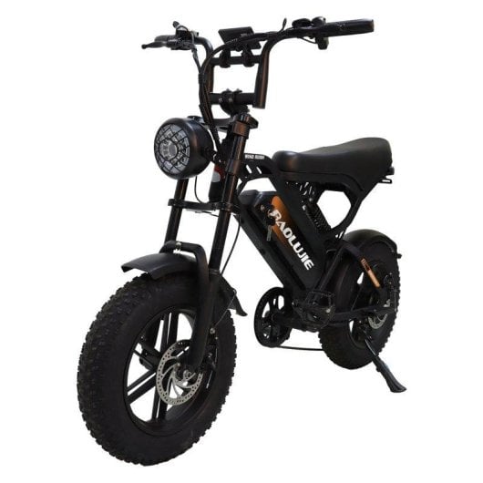 Bicicleta Eléctrica Baolujie F2 Motor 500 W 48 V 13 Ah Neumáticos 16" Velocidad 45 km/h