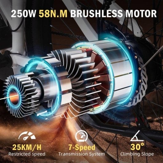 Bicicletta Elettrica Hedatx Paselec TX10 250W 48V 19,2Ah 7 velocita