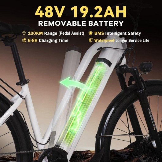Veloce Elettrico Hedatx Paselec TX10 250W 48V 19,2Ah Grigio