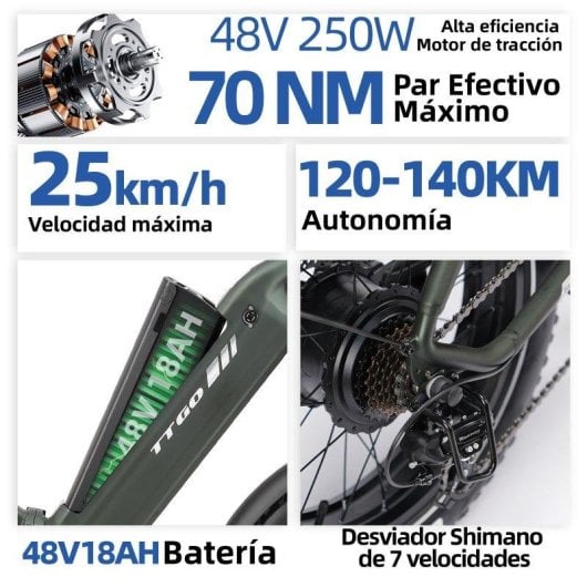 Vélo électrique TTGO F6 Boost 250W 48V 18Ah Pneus 20 pouces