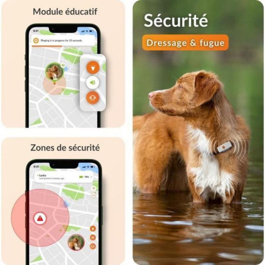 Localizzatore GPS Weenect XS per animali impermeabile IP68 240 h nero