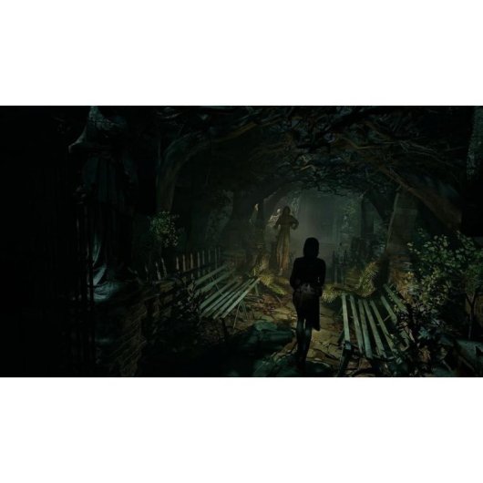 Tormented Souls II - Nintendo Switch 2
