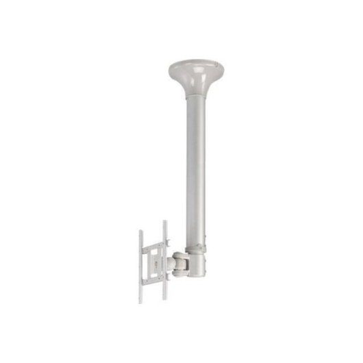 NewStar FPMA-C200 Soporte monitor de techo 10-40" VESA 75x75-200x200 máx. 20 kg