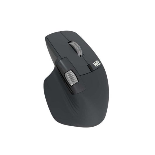 Souris WE Bluetooth et 2,4 GHz 4000 DPI noire, double molette