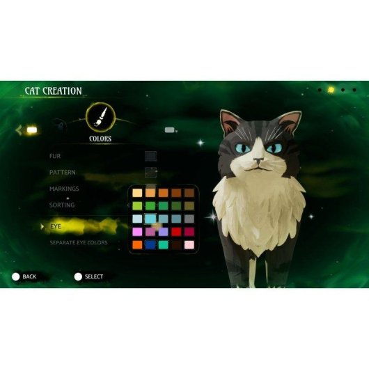 Warrior Cats Clans of the Forest Switch