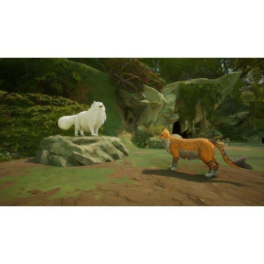 Warrior Cats Clans of the Forest Switch 2