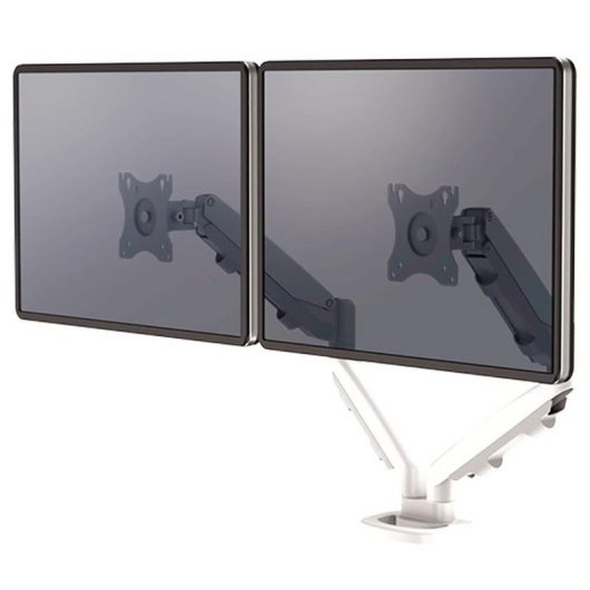 Fellowes 9683501 Support Moniteur Double Bureau 39" VESA 75x75 à 100x100 Max 8Kg