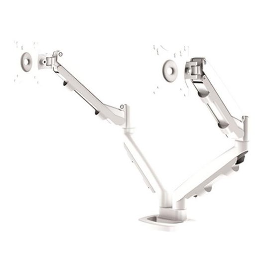 Fellowes 9683501 Support Moniteur Double Bureau 39" VESA 75x75 à 100x100 Max 8Kg