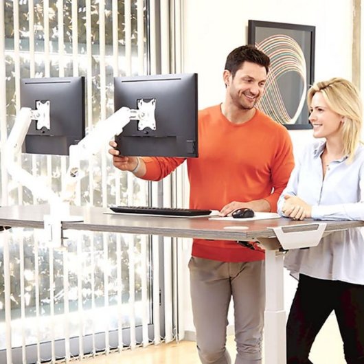 Fellowes 9683501 Support Moniteur Double Bureau 39" VESA 75x75 à 100x100 Max 8Kg