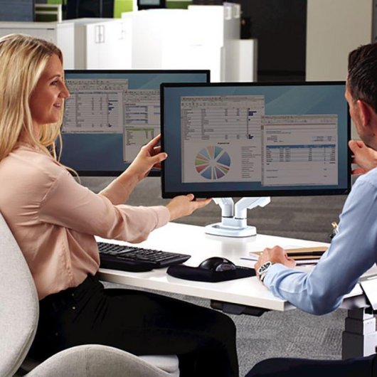 Fellowes 9683501 Support Moniteur Double Bureau 39" VESA 75x75 à 100x100 Max 8Kg
