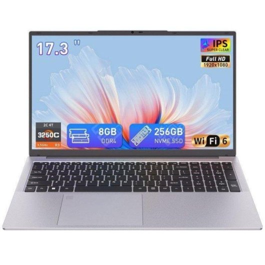 Ordinateur portable Auusda 17,3" AMD Ryzen 3 3250C 8Go 256Go SSD Radeon Vega 3 Windows 11 Pro