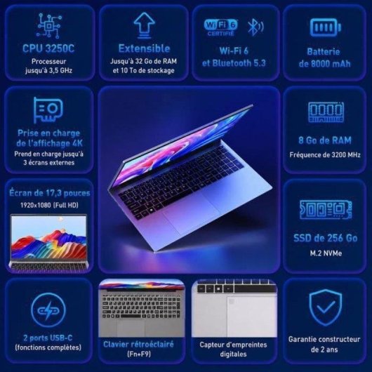 Ordinateur portable Auusda 17,3" AMD Ryzen 3 3250C 8Go 256Go SSD Radeon Vega 3 Windows 11 Pro