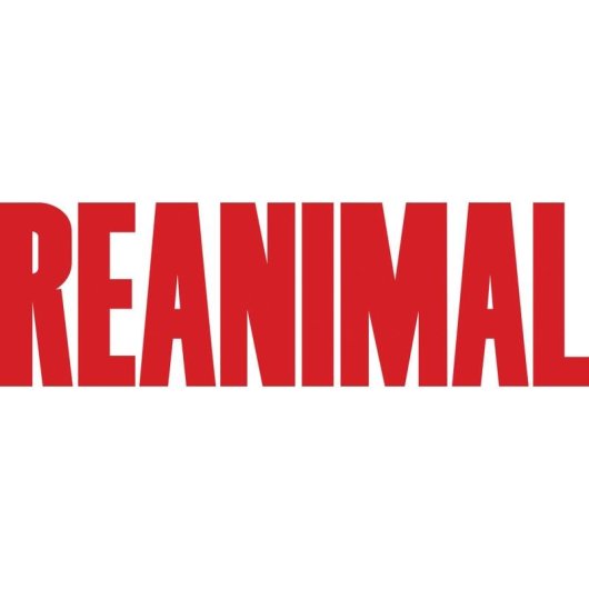 Jeu PC THQ Nordic Reanimal Édition Standard Coopératif Horreur