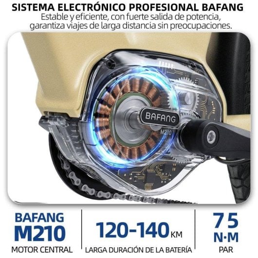 Velo electrique TTGO C7SE 250W 36V18Ah 28 pouces