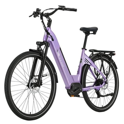 Vélo électrique TTGO C7SE 28 pouces 250W 36V18Ah 25 km/h suspension