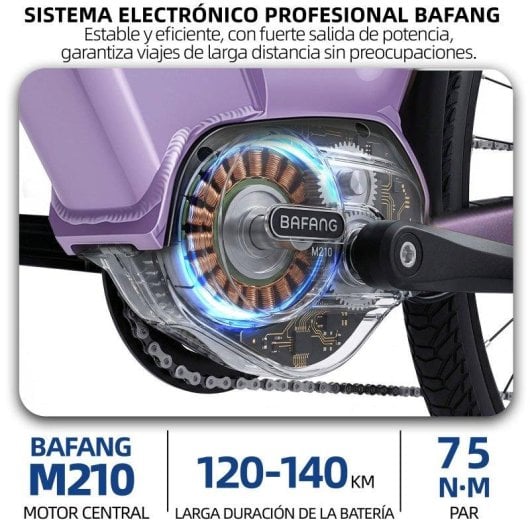 Vélo électrique TTGO C7SE 28 pouces 250W 36V18Ah 25 km/h suspension
