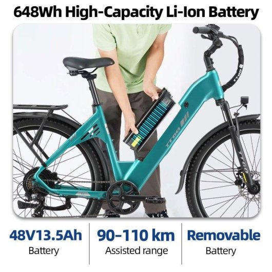 Vélo électrique TTGO C5 250W 48V 13,5Ah 27,5" 25 km/h