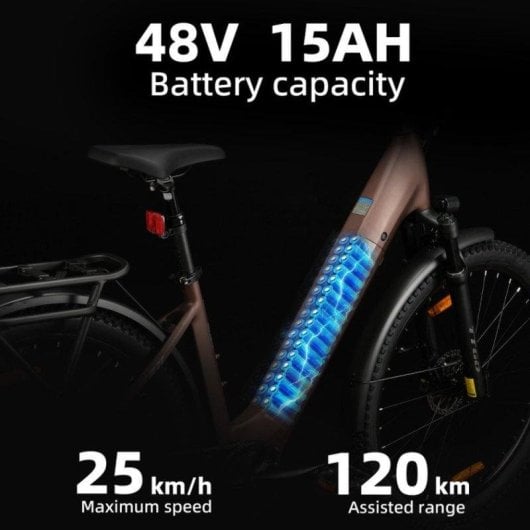 Bicicletta elettrica TTGO Z3 250 W 48 V 15 Ah 27,5 pollici
