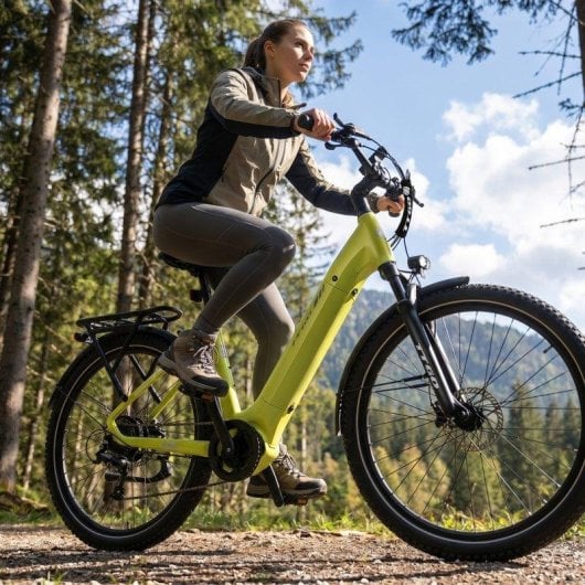 Bicicletta elettrica TTGO Z3 250 W 48 V 15 Ah 27,5 pollici