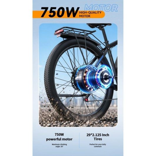 Velo Electrique Duotts C29-L Double Batterie
