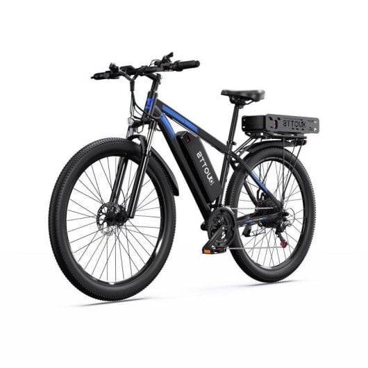 Elektrofahrrad DUOTTS C29-K 750 W Doppelbatterie