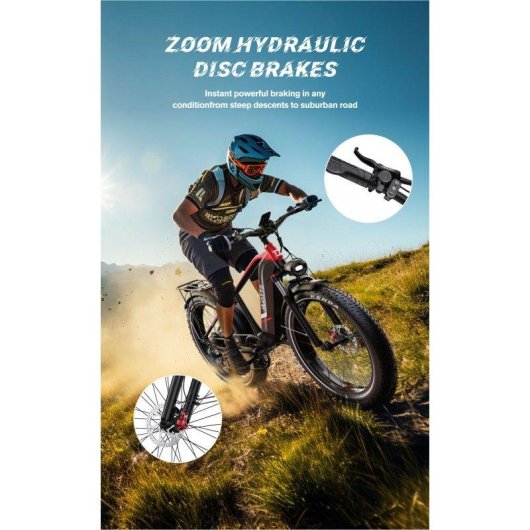 Vélo électrique DUOTTS F26 Lite 500W 48V 18Ah 26 pouces Freins hydrauliques