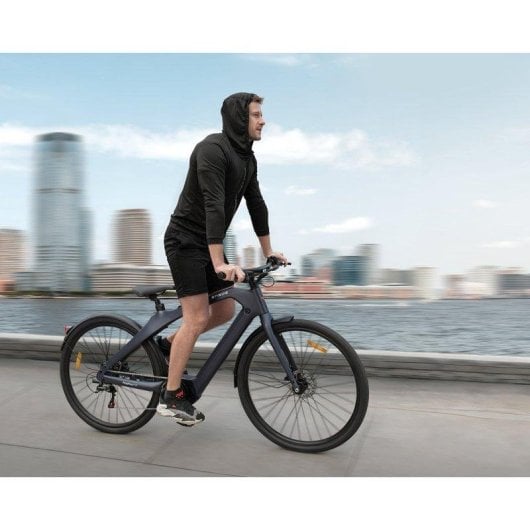 Vélo Électrique ENGWE N1 Pro Moteur 250 W Batterie 36V 10Ah Gris