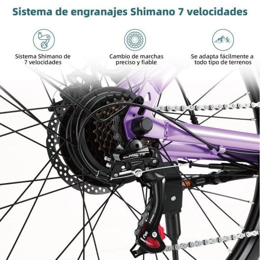 Bicicleta Eléctrica Bekup V1 250W 36V 14,5Ah 26" Shimano 7 Velocidades