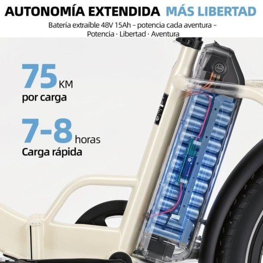 Velo electrique Bekup S3 250W 48V 15Ah