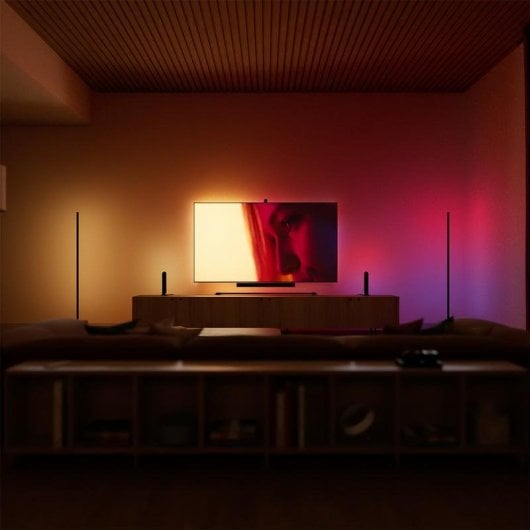 Ruban lumineux Philips Hue Play gradient 65 pouces RGBWWIC