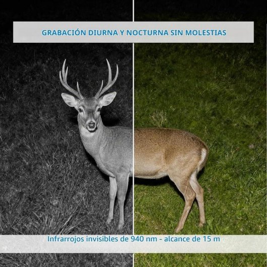 Câmera de vigilância NIVIAN NV-TRAILCAM FullHD Visão Noturna Externa IA Áudio Bidirecional