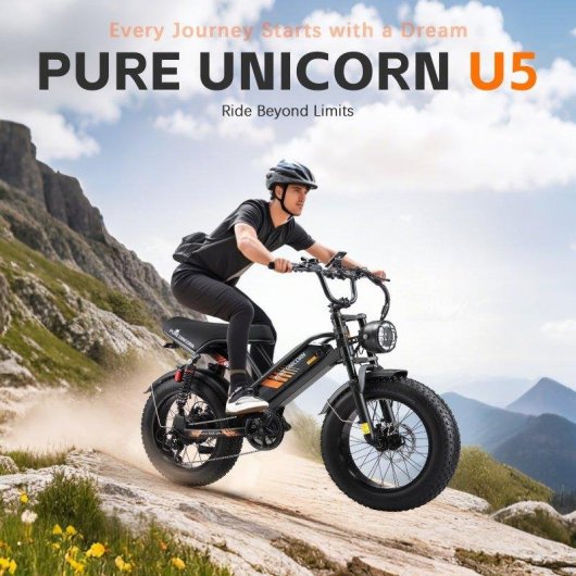 Bici elettrica Pure Unicorn U5 1000W Autonomia 55-80km