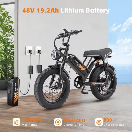 Bici elettrica Pure Unicorn U5 1000W Autonomia 55-80km