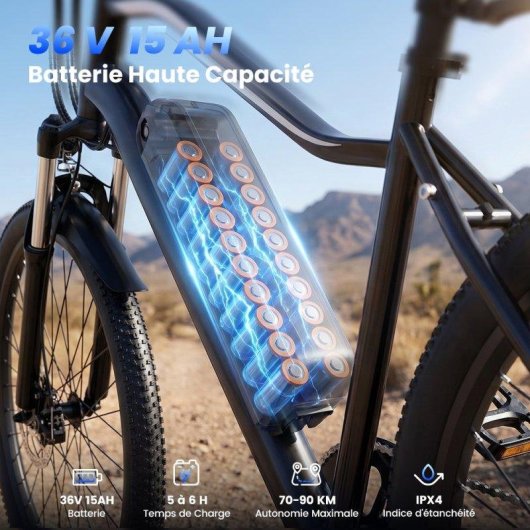Bicicletta Elettrica iScooter EB3S 250 W Autonomia >60 km