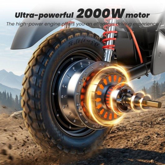 Moto Eléctrica iScooter Y18 2000W 48V 20Ah 55 km/h Autonomía 90 km