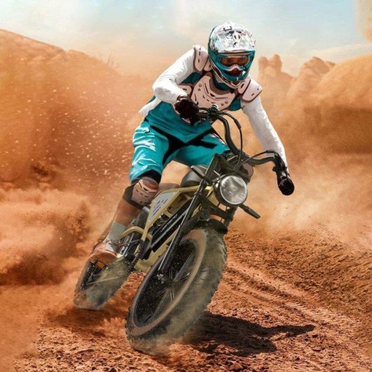 Bicicletta Elettrica Jansno X70 750W Doppia Batteria